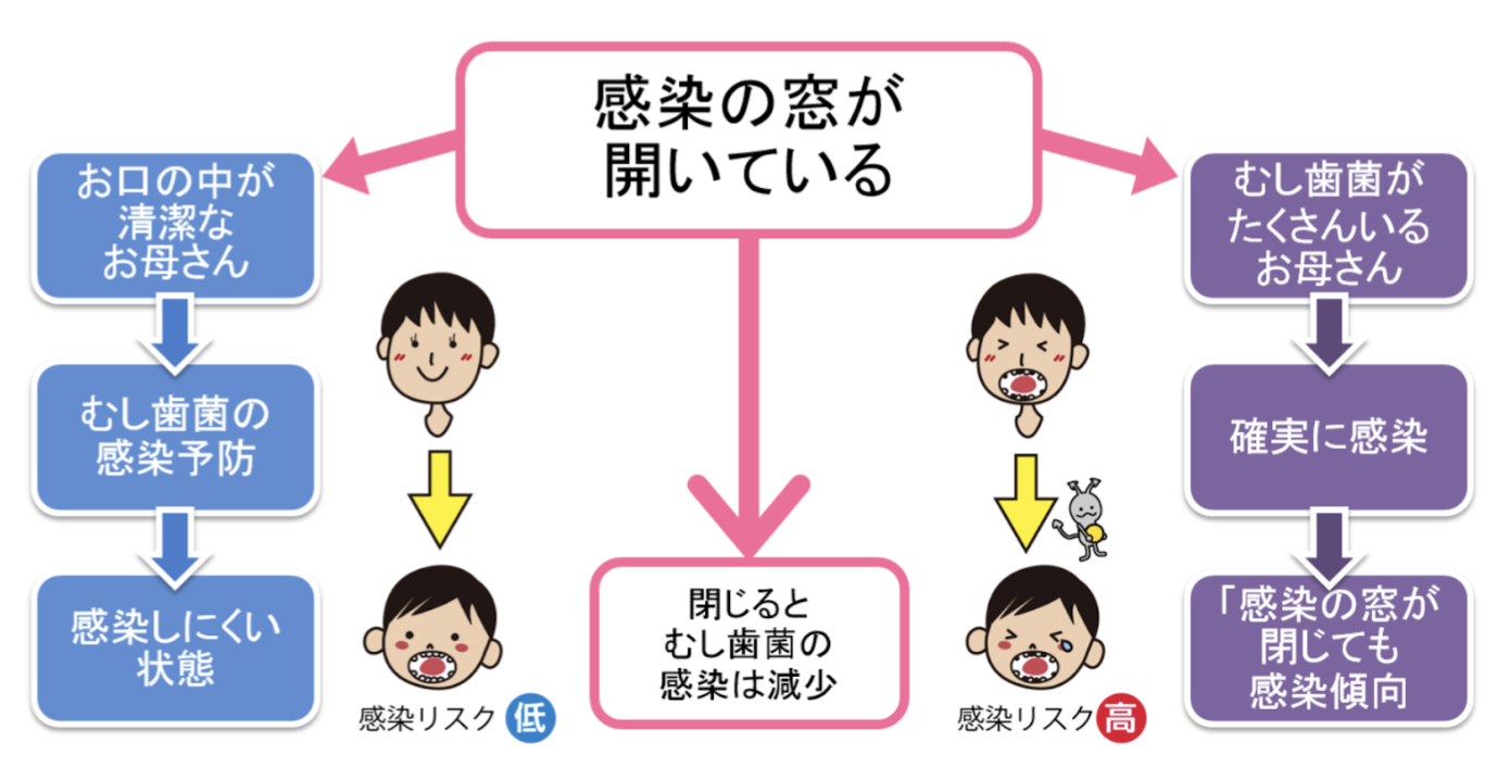 むし歯の菌に感染